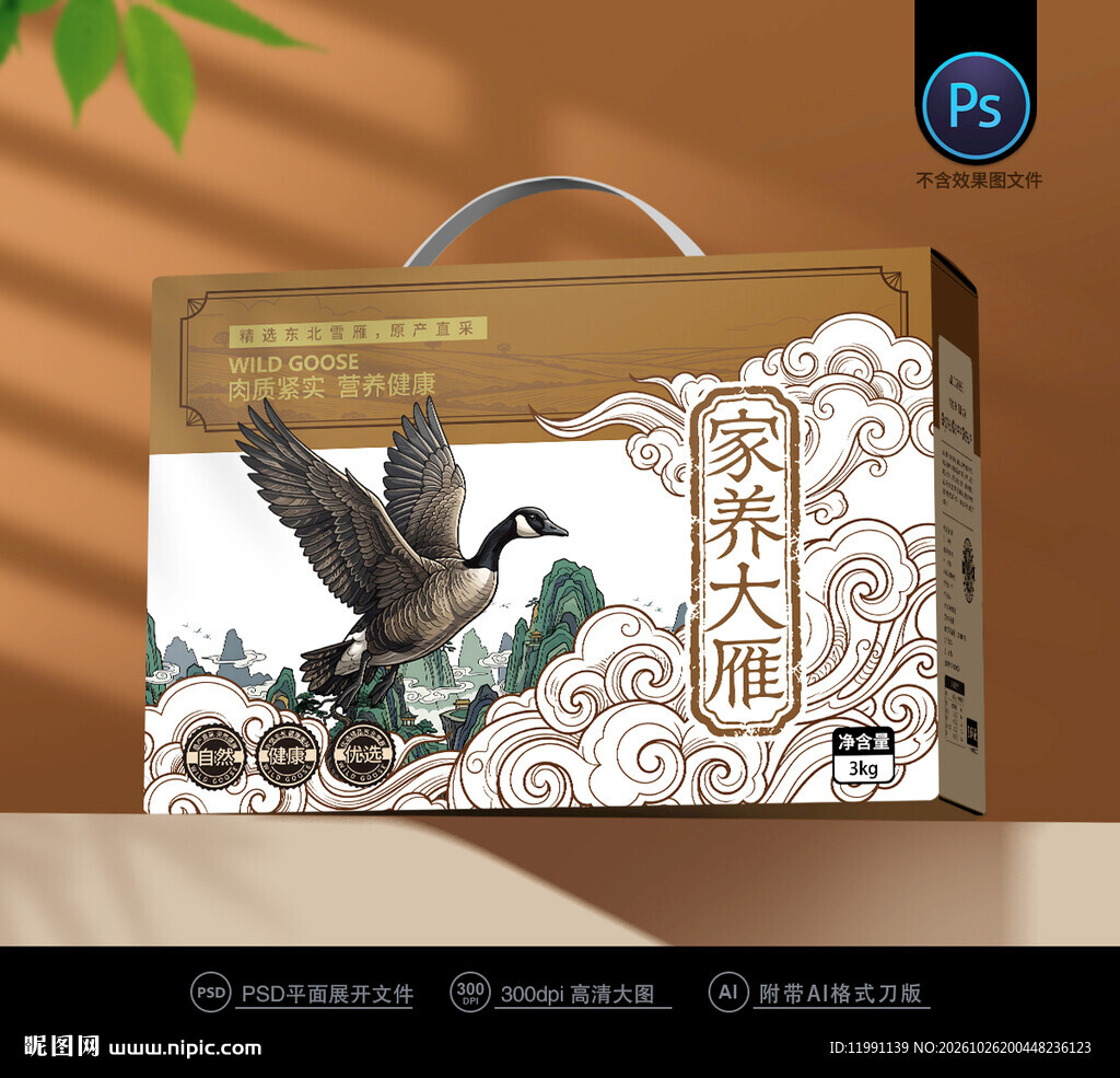 大雁包装