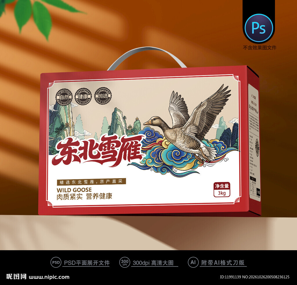 大雁包装