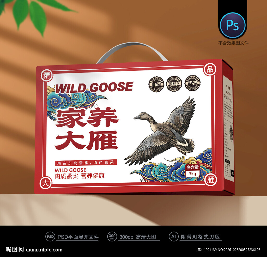 大雁包装