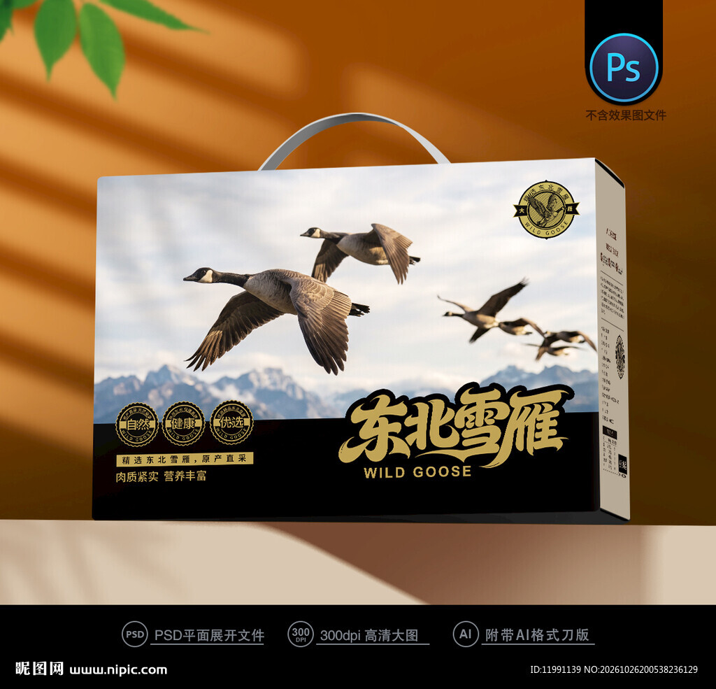 大雁包装