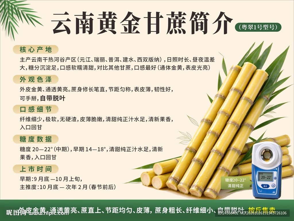 云南黄金甘蔗简介