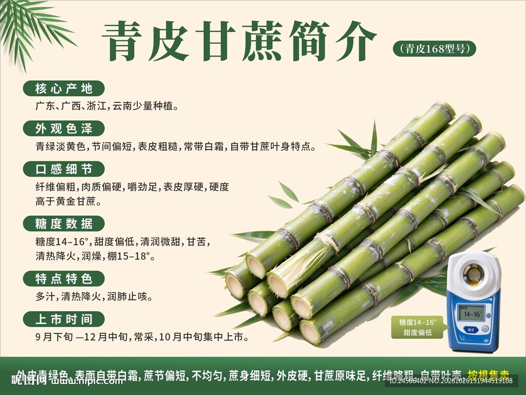 青皮甘蔗简介科普海报