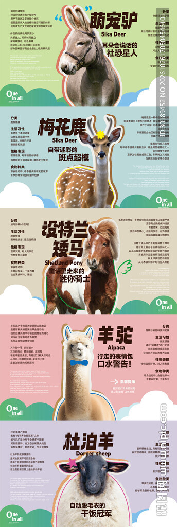 趣味动物科普系列海报