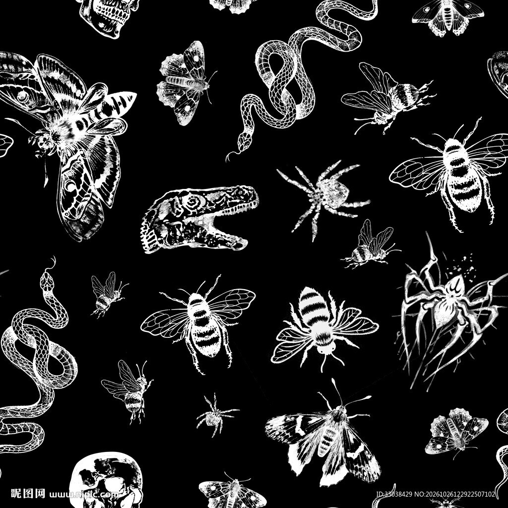 黑白昆虫生物纹理图案