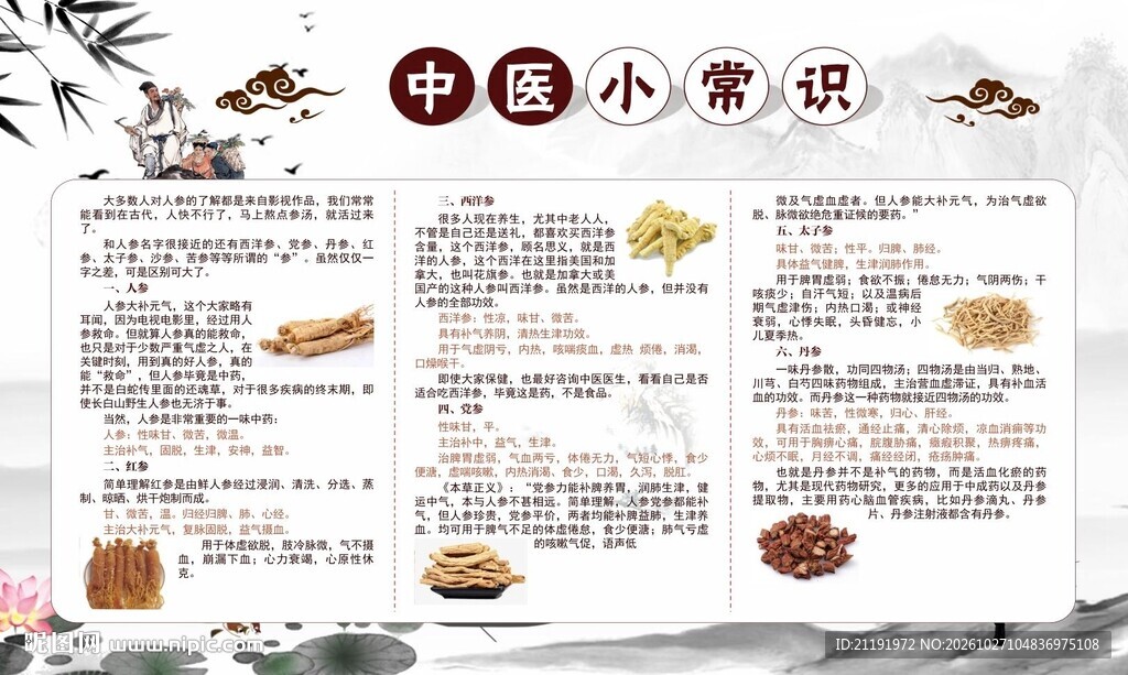 中医养生知识宣传栏