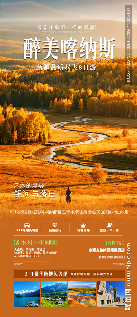 胡杨林 青甘 西北 秋季 旅游