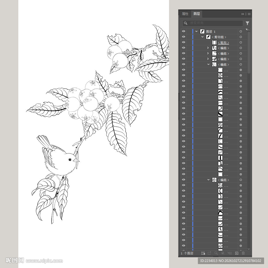 白描黄鹂枇杷线稿