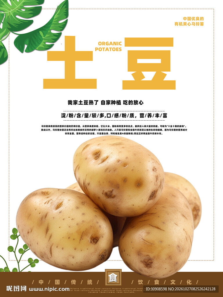 土豆
