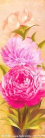 花卉牡丹花