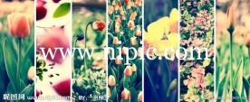 花草