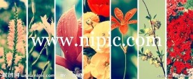 花草
