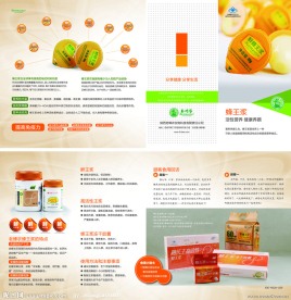 老蜂农蜂王浆产品四折页