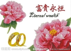 十字绣源文件 富贵永恒(红) 图纸图片