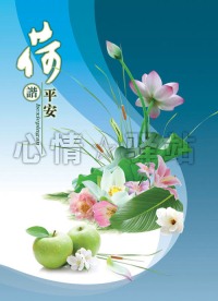 荷谐平安