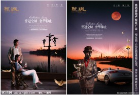 湖景别墅尊贵生活海报