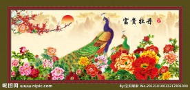 富贵牡丹