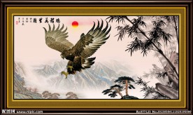 鹏程万里