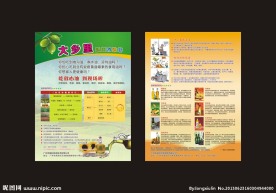 食用油单张
