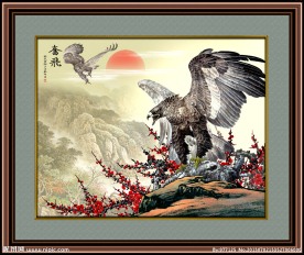老鹰