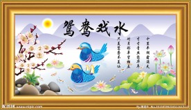 鸳鸯戏水