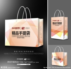 服装手提袋(展开图)