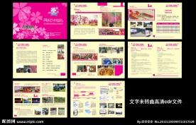 樱花节画册