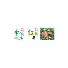 红薯粉条字体设计矢量