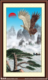 雄鹰