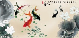 荷花鱼