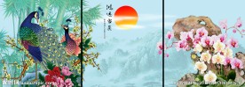 无框画 花鸟画