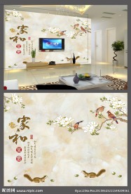 花鸟  大理石 电视 背景墙