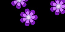 花朵转场