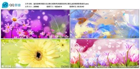 婚庆花朵舞台歌舞秀浪漫缤纷梦幻