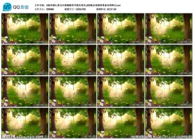 森林婚礼风景蝴蝶草坪婚庆LED