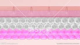 皮肤分层