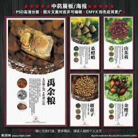 中药海报