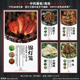中药