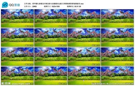 草坪春暖花开桃花春天婚礼LED
