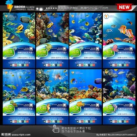 海洋世界 热带鱼海报图片