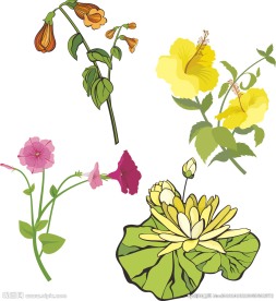 手绘精美花卉