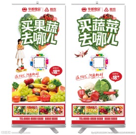 买蔬菜去哪儿促销易拉宝设计