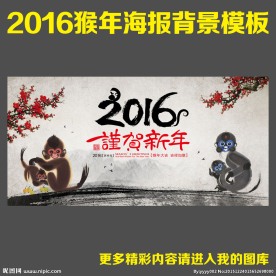 2016 猴年