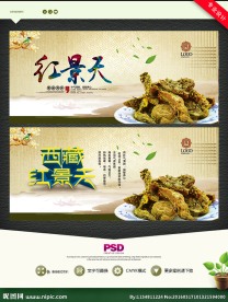 红景天