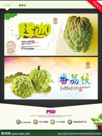 释迦 番荔枝