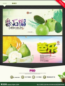 芭乐 番石榴
