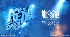 绽放美容海报