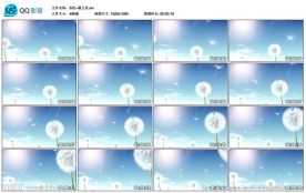蒲公英蓝天LED大屏幕背景视频