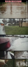下雨天湿漉的马路边草地高清实拍