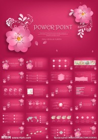 唯美微立体工作总结汇报PPT