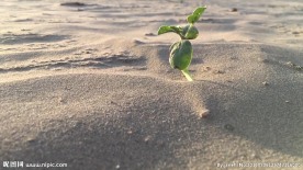 沙尘视频